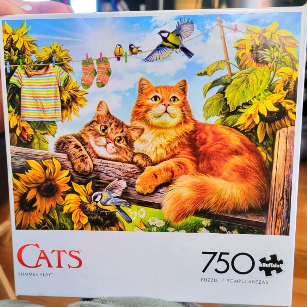 750 pieces puzzle